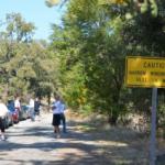 Cambria_0180 (November 03, 2012)